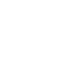Rollbot