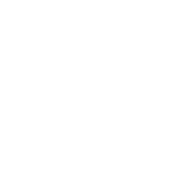 Wasp
